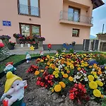 Karabegovic *
