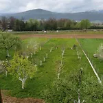 Karabegovic Bihac