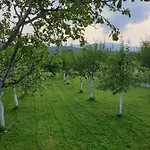 Karabegovic Bihac