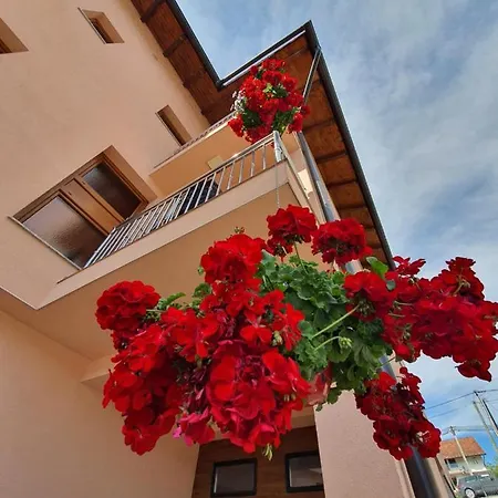Karabegovic Apartment *