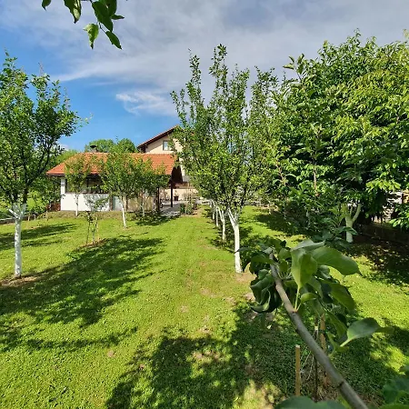 Karabegovic Apartment
