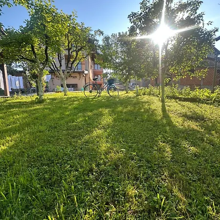 Karabegovic