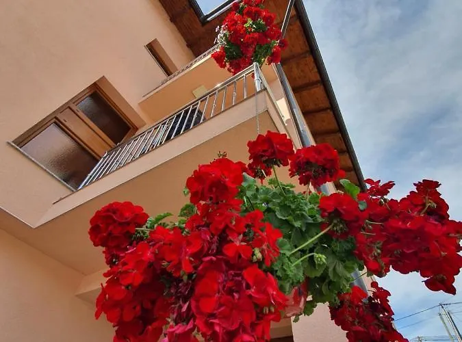 Karabegovic Apartamento *