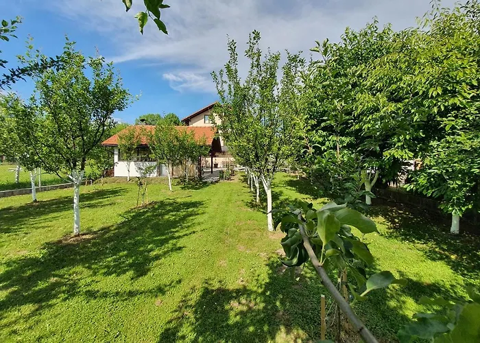 Karabegovic Apartamento