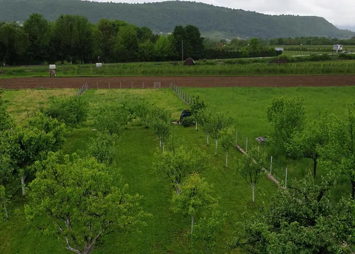 Karabegovic Apartamento